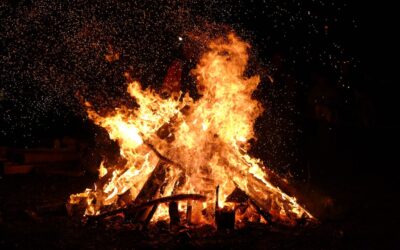 Släpp dårarna loss – det är vår!